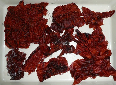 dyed resists before untying dyed resists before untying