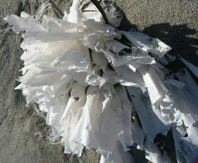 plastic